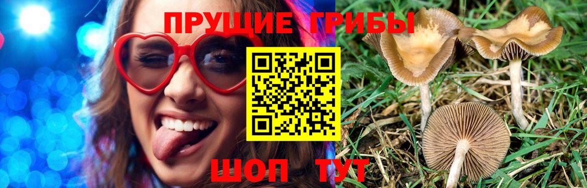 Костомукша  Галлюциногенные грибы ЛСД  наркошоп  Вход с VPN 